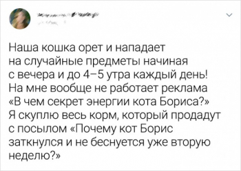 Подборка сообщений пользователей социальных сетей, - «Фото приколы»