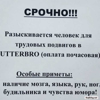 Как вы думаете, где можно найти позитив?) В смешных об - «Фото приколы»