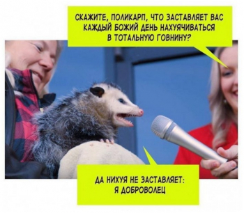 Прикольные фотографии с комментариями. Смотрим... - «Фото приколы»