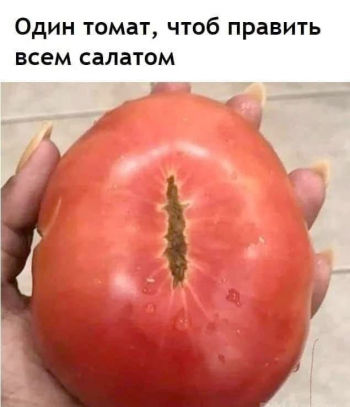 Свежая подборка мемов, шуток и смешных картинок из С - «Фото приколы»