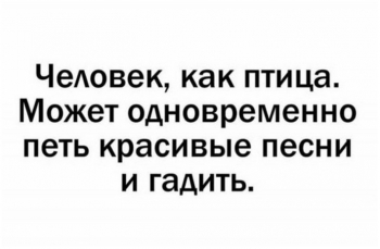 Очередная подборка прикольных картинок для хорошего на - «Фото приколы»