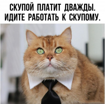 Свежая подборка мемов, шуток и забавных картинок из Сети на - «Фото приколы»