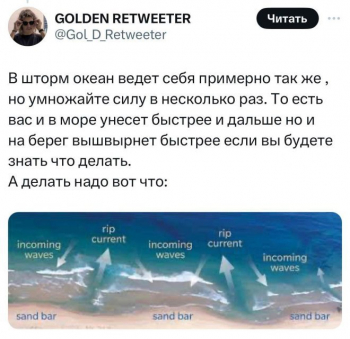 Один пользователь социальных сетей написал подро - «Фото приколы»