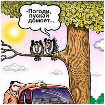 Самые смешные картинки для хорошего настроения. - «Фото приколы»