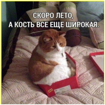 Смешные фотографии. Смотрим и радуемся жизни). - «Фото приколы»