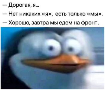 Смотрим смешные картинки! - «Фото приколы»