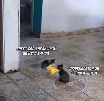 Свежая подборка шуток, мемов и смешных картинок из С - «Фото приколы»