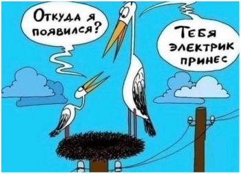Смотрим прикольные картинки для хорошего настроения. - «Фото приколы»