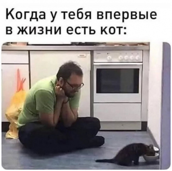 Прикольные фото с описанием для вашего внимания - «Фото приколы»